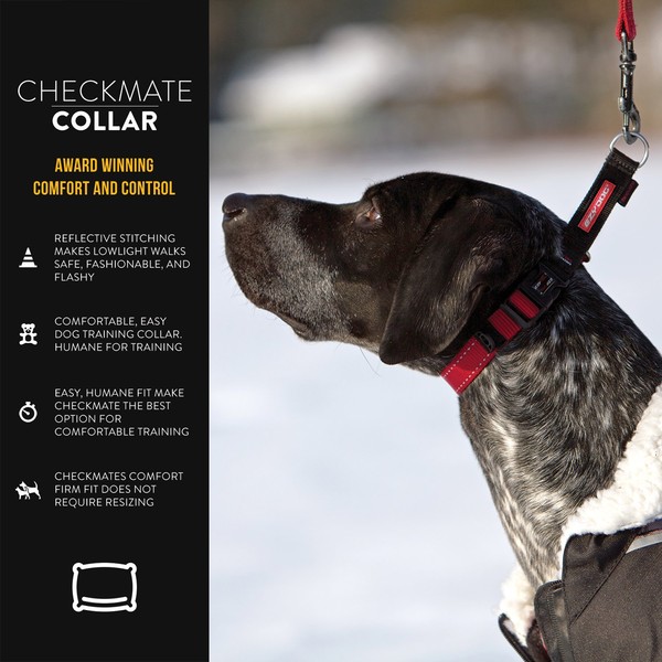 EzyDog Checkmate Martingale-Style Premium Nylon Safety Training and Correction Dog Collar - Quick-Clip Buckle and Reflective Stitching - Easy Control with no Choking Effect (Medium, Black)
