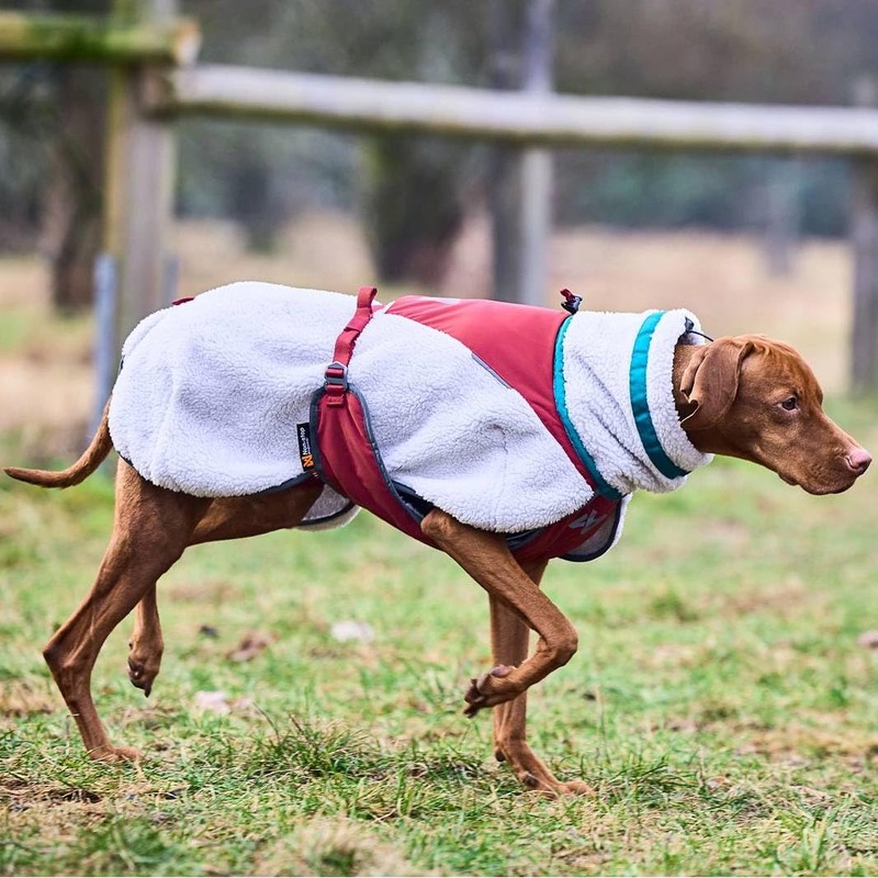 Non-Stop Dogwear Trekking Fleece Dog Jacket, Grey/Wine/Teal - 50