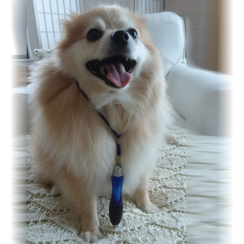 Thixotropic Super Big Fat Pen for Arthritis (5 pack) Black