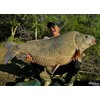 Haldorado Max Motion Dipped Boilie, Maple & Banana Flavor, 20mm,