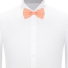 Jacob Alexander Polka Dot Print Men's Polka Dotted Pretied Bowtie