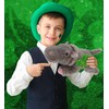 DolliBu Wild Collection Hippo Stuffed Animal with Green Plush Shamrock,