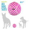 Hero - Chuckles Ball Plush Dog Toy - Dog Squeaky