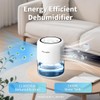 Windangel 44oz(1.3L) Small Dehumidifier for Home, Auto-Off Quiet Portable Dehumidifier