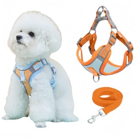 NOWFRESH Cats and Small Dogs Harness and Leash for Walking - Escape Proof Soft Adjustable Vest, Breathable with Reflective Strips for Easy Control（Orange and Blue）