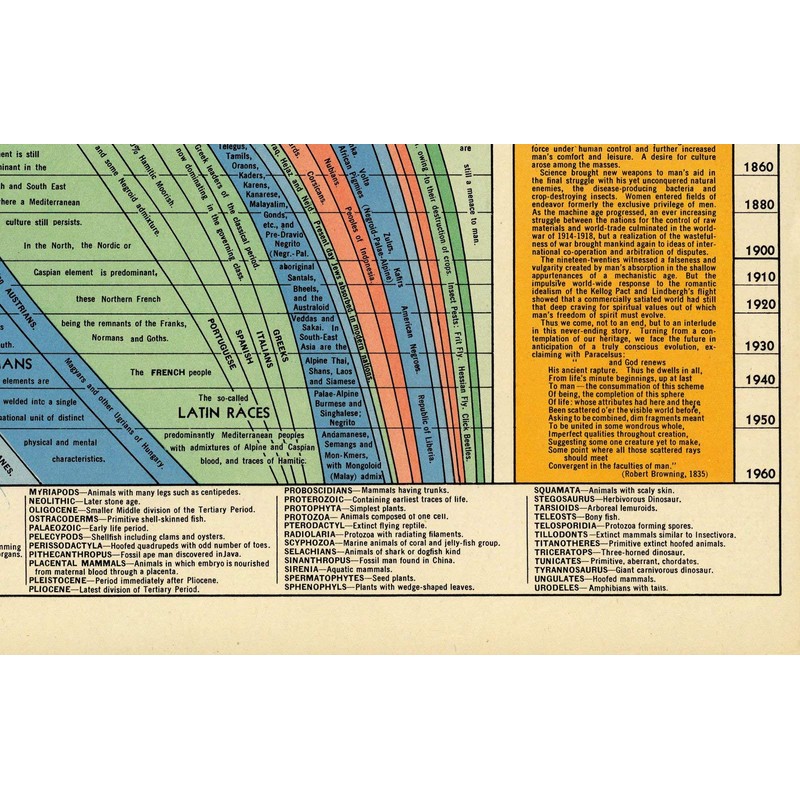 Histomap of Evolution Timeline Poster Chart - Gifts for Researchers