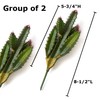 Factory Direct Craft Group of 2 Artificial Cactus Picks Fake