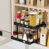 BOIVSHI Spice Organization for Cabinet, 2-Tier Cabinet Spice Rack, Height