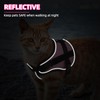 PUPTECK Cat Harness and Leash Set Escape Proof, Adjustable Reflective