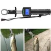 3 in 1 Digital Fish Grip Scale 25kg/55lb Fish Lip