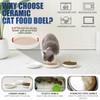 Lusifaco Shallow Cat Food Bowls, 5.9 Inch Wide Ceramic Cat