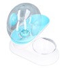 Pet Water Dispenser Food Feeder Cat Automatic Drinking Snail Shape