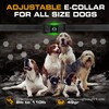INVIROX Dog Training Collar for Large Dog X2 [2026 Edition]