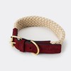 HUGO & HUDSON Luxury Dog Collar, Flat Rope and Leather
