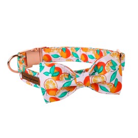 Unique style paws Pet Collar with Orange Patterns Adjustable Durable Dog Collar Bow Tie Dog Collar Pet Gift for Small Medium Large Dogs and Cats-S