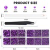 AUREHEN 10000PCs 2-6MM Violet Resin Flat Back Rhinestones with Silver