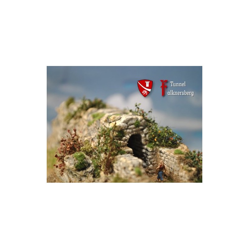 Falknersberg Tunnel, Building Kit, Track N