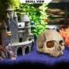 Aquarium Decoration for Fish Tank Skull Head Skeleton Aquarium Ornament
