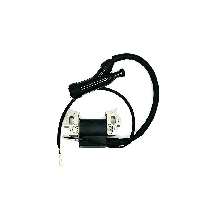 Ignition Coil Module Compatible with Champion Power Equipment 100251 Log