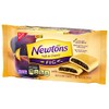 Fig Newtons Newtons Soft & Fruit Chewy Fig Cookies, (Fig