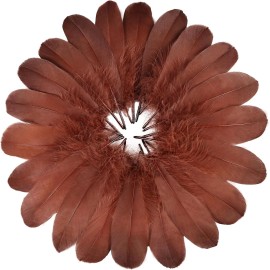 120pcs Colorful Goose Feathers Bulk 6-8 in 15-20cm Goose Nagoire Feather for Crafts DIY Wedding Party Halloween DecorationColor: coffee, Feather Size (L x W): 6-8"