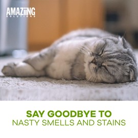 Amaziing Solutions Pet Carpet Shampoo - Carpet Cleaner Solution for Carpet Cleaner Machine, Urine Smell & Stain Remover, Pet Urine Enzyme Cleaner, Carpet Shampoo Solution, Carpet Shampooer, 1 Gallon