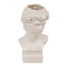 David Bust of Michelangelo Vase
