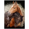 Horse Hug - Premium 500 Piece Jigsaw Puzzle - Made