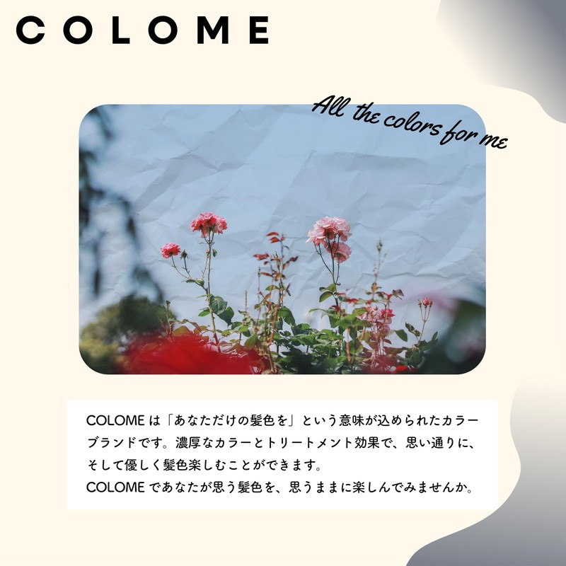COLOME SILVER Coloring Supplies, Silver, Silver
