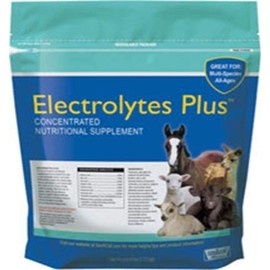 Milk & Co. 633132 Electrolytes Plus Multi-Species Supplement, 6 lb