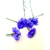 Pure Blue Cornflower Petals - 100% Natural Centaurea cyanus -