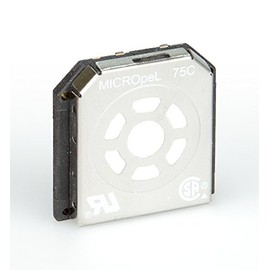 BW Technologies SR-W-MP75C Replacement MICROpeL Combustible (LEL) Sensor, 0 to 100 Percent LEL Measuring Range