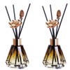 2PCS 60ml/2oz Empty Refillable Glass Diffuser Bottle Diffuser Jars Aromatherapy