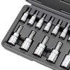 CARBYNE 14 Piece Tamper Proof Torx Bit Socket Set, T-8