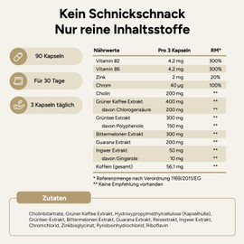 NaroVital Metabolism Complex - High Dose with Green Tea, Green Coffee, Bitter Melon, Guarana, Choline and Ginger - 90 Vegan Metabolism Capsules - Tablets Diet Support