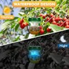 Wasp Traps for Hunting Wasps, Bees, Hornets, Insects, Yellow Jacket