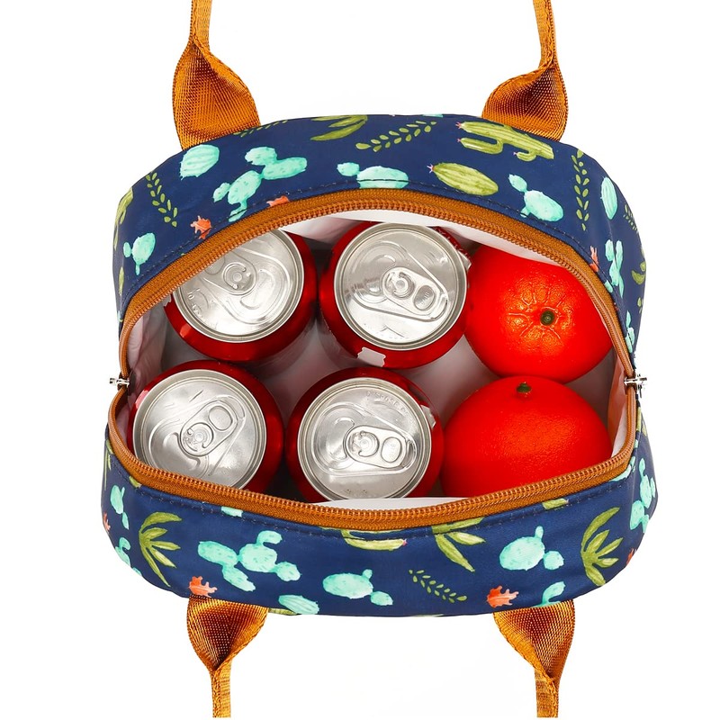 FlowFly Insulated Lunch Cooler Bag - Tote Bag Organizer for