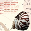 FRANKIEZHOU Simulation Nautilus Plush,Stuffed Animal,Plush Toy,Soft Stuffed Toy,Cuddly Toys,Gifts for