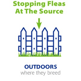 Flea Destroyer Natural Flea Control for Dogs & Cats - Specifically Formulated for Safe, Effective, Long-Lasting Flea Control - 10 Mil Beneficial Nematodes - Steinernema Feltiae (SF) & Carpocapsae (SC)
