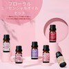 SALKING Aroma Oils, Set of 6 Types, Essential Oils, 100%