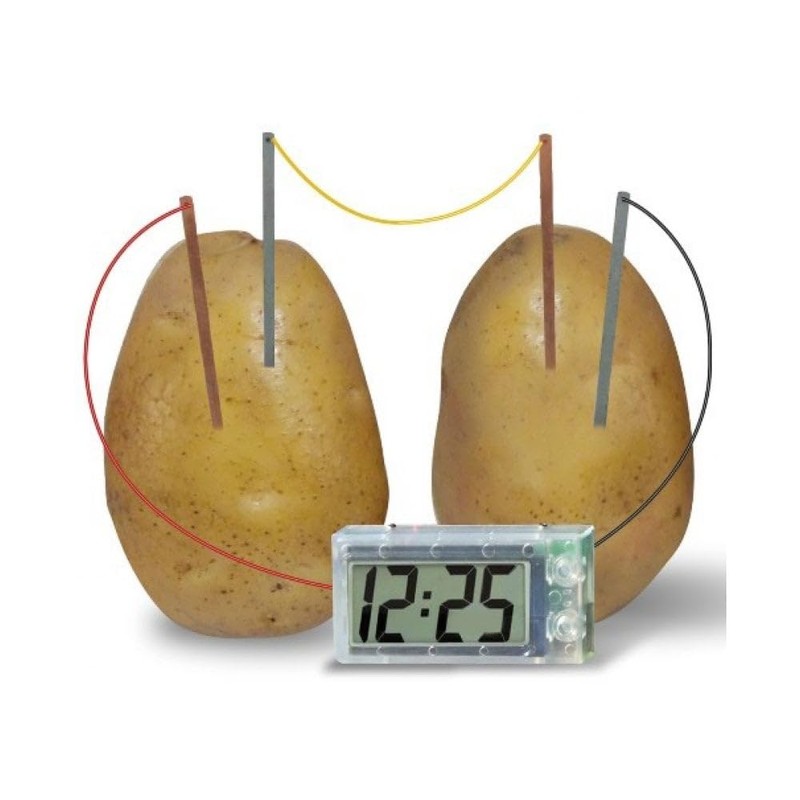 Playwrite Science Matters - Fruit & Veg Clock