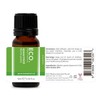 ECO. Modern Essentials Spearmint Pure Essential Oil, 10ml