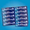 Winterfresh Wrigley's Chewing Gum Bulk Pack, 5 Sticks Per Pack