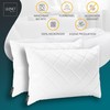 LILENO HOME Set of 4 cushion filling, 40 x 60