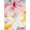 HAPPY BIRTHDAY Greeting card ~ Pretty Pink and White Hibiscus