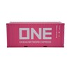 TANG DYNASTY 1:20 ONE 20GP Shipping Container Model Pink Abs