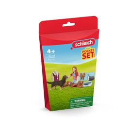 Schleich GmbH 42748 toy