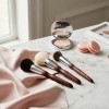 Miss Cherry Brochas De Maquillaje Profesional Natural 13 Pzs
