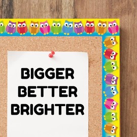 Colourful Owls Classroom Trimmers 14.25m long Notice Board Display Borders