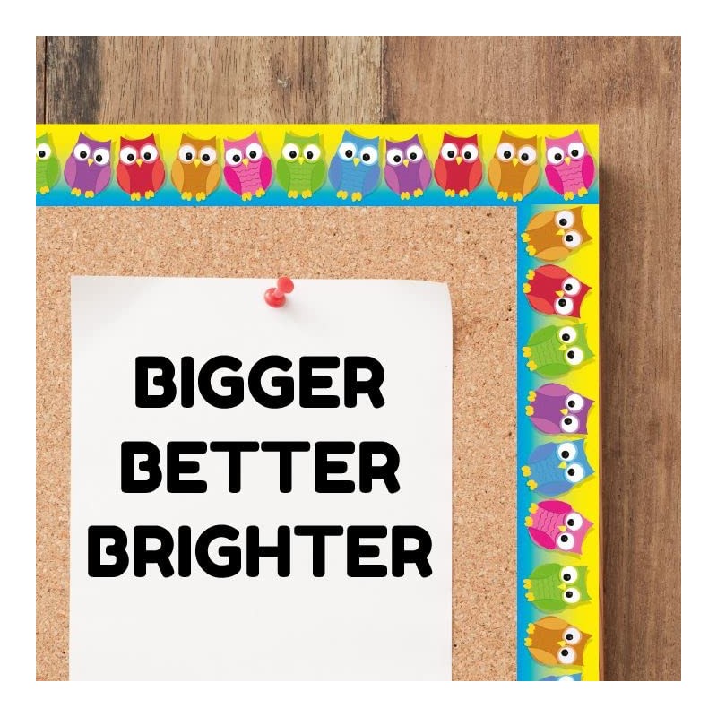 Colourful Owls Classroom Trimmers 14.25m long Notice Board Display Borders